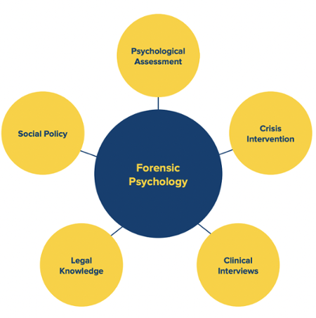 forensic psychology research paper pdf